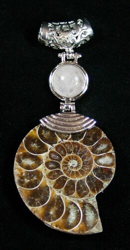 Cut And Polished Ammonite Pendant #1868